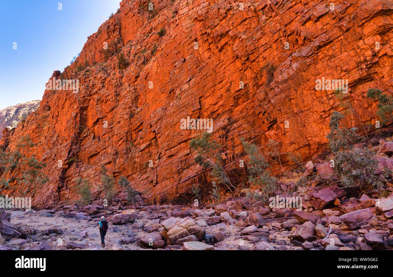 Randonnée dans la Gorge de femme Ormiston, West MacDonnell National Park, Territoire du Nord, Australie Banque D'Images