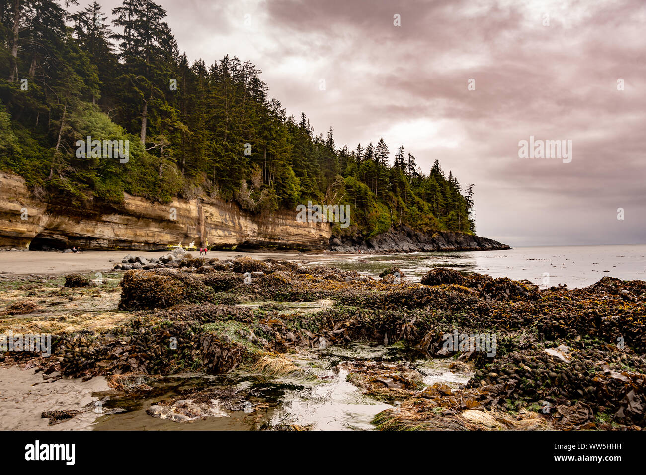 Mystic Beach, île de Vancouver, Colombie-Britannique, Canada Banque D'Images