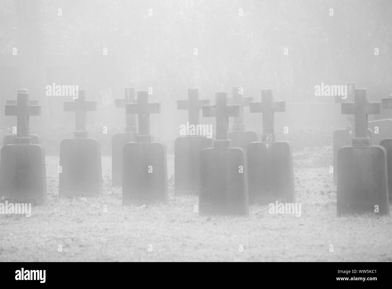 Photographie des croix de cimetière en temps brumeux en automne, Banque D'Images
