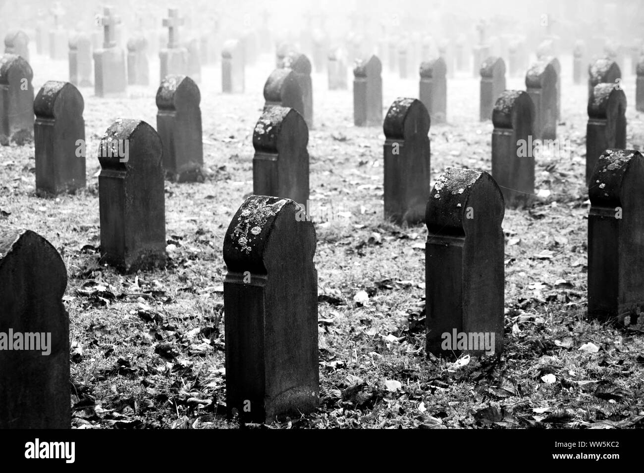 Photographie des croix de cimetière en temps brumeux en automne, Banque D'Images