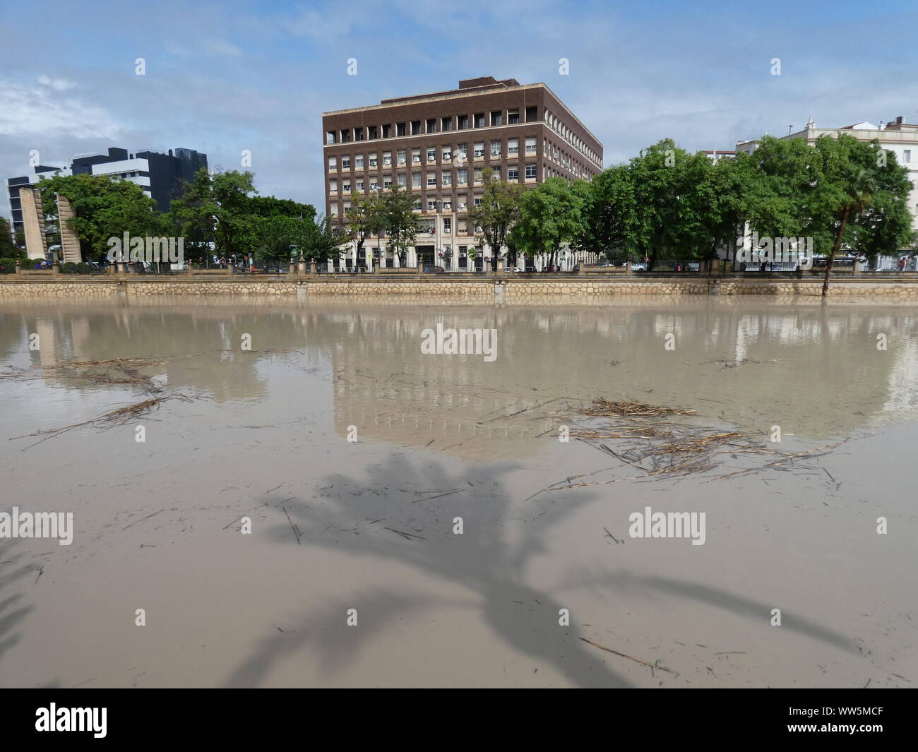 Rio de Murcie. Rio Segura, Murcia, Espagne Banque D'Images