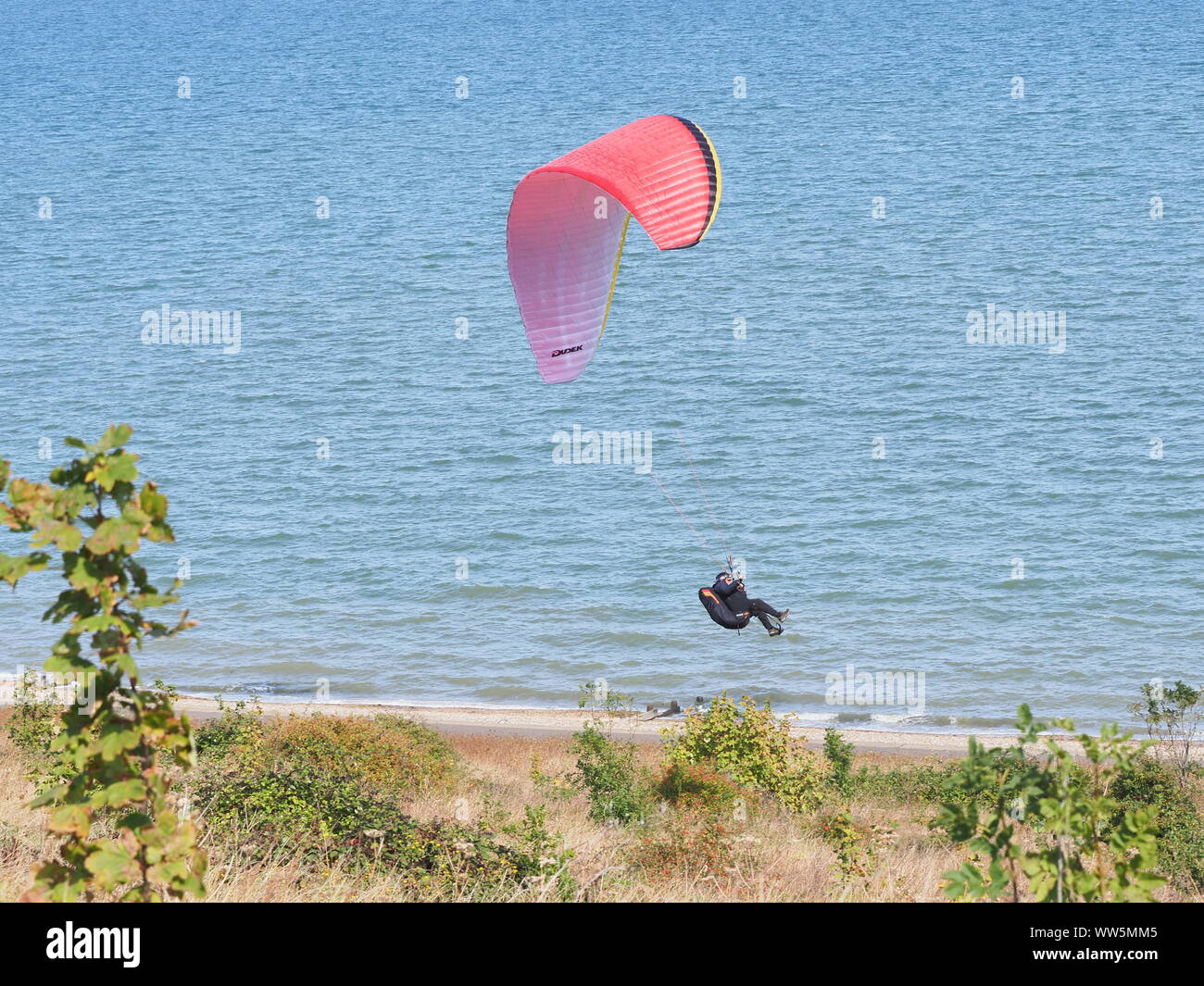 Minster sur Mer, Kent, UK. 13 Septembre, 2019. Météo France : un après-midi chaud et ensoleillé à Minster sur Mer, Kent aux parapentistes profitent de l'ascendance thermique hors de Minster falaises. Credit : James Bell/Alamy Live News Banque D'Images