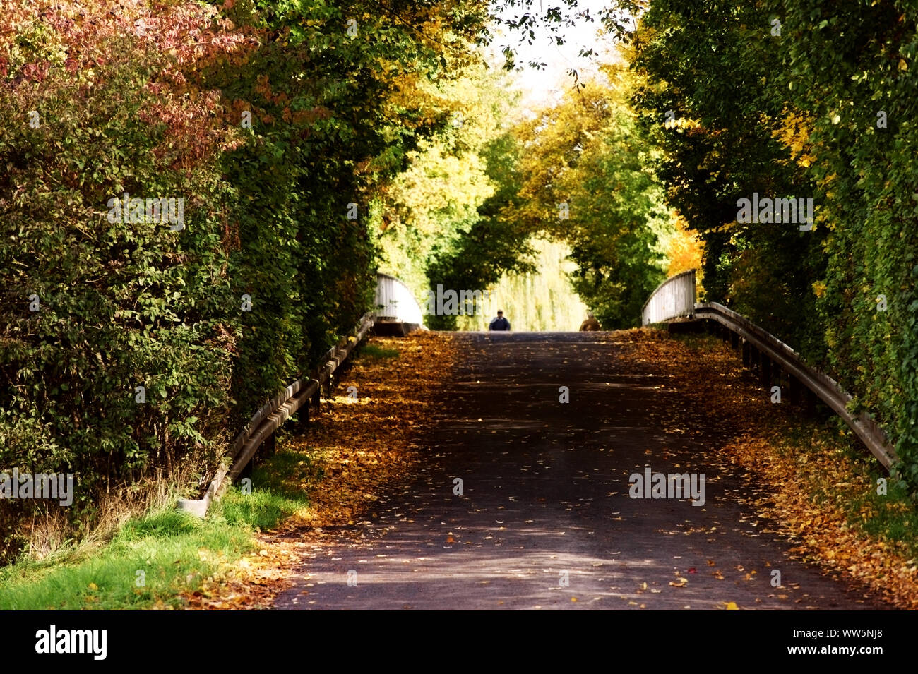 Photographie d'un pont à l'automne, avec une personne, Banque D'Images