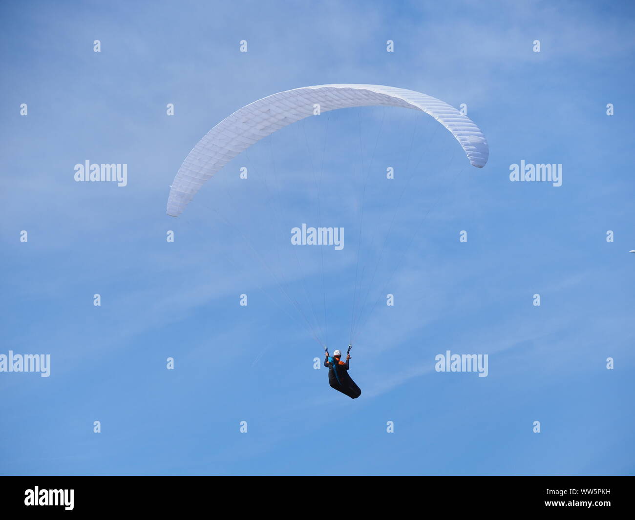 Minster sur Mer, Kent, UK. 13 Septembre, 2019. Météo France : un après-midi chaud et ensoleillé à Minster sur Mer, Kent aux parapentistes profitent de l'ascendance thermique hors de Minster falaises. Credit : James Bell/Alamy Live News Banque D'Images