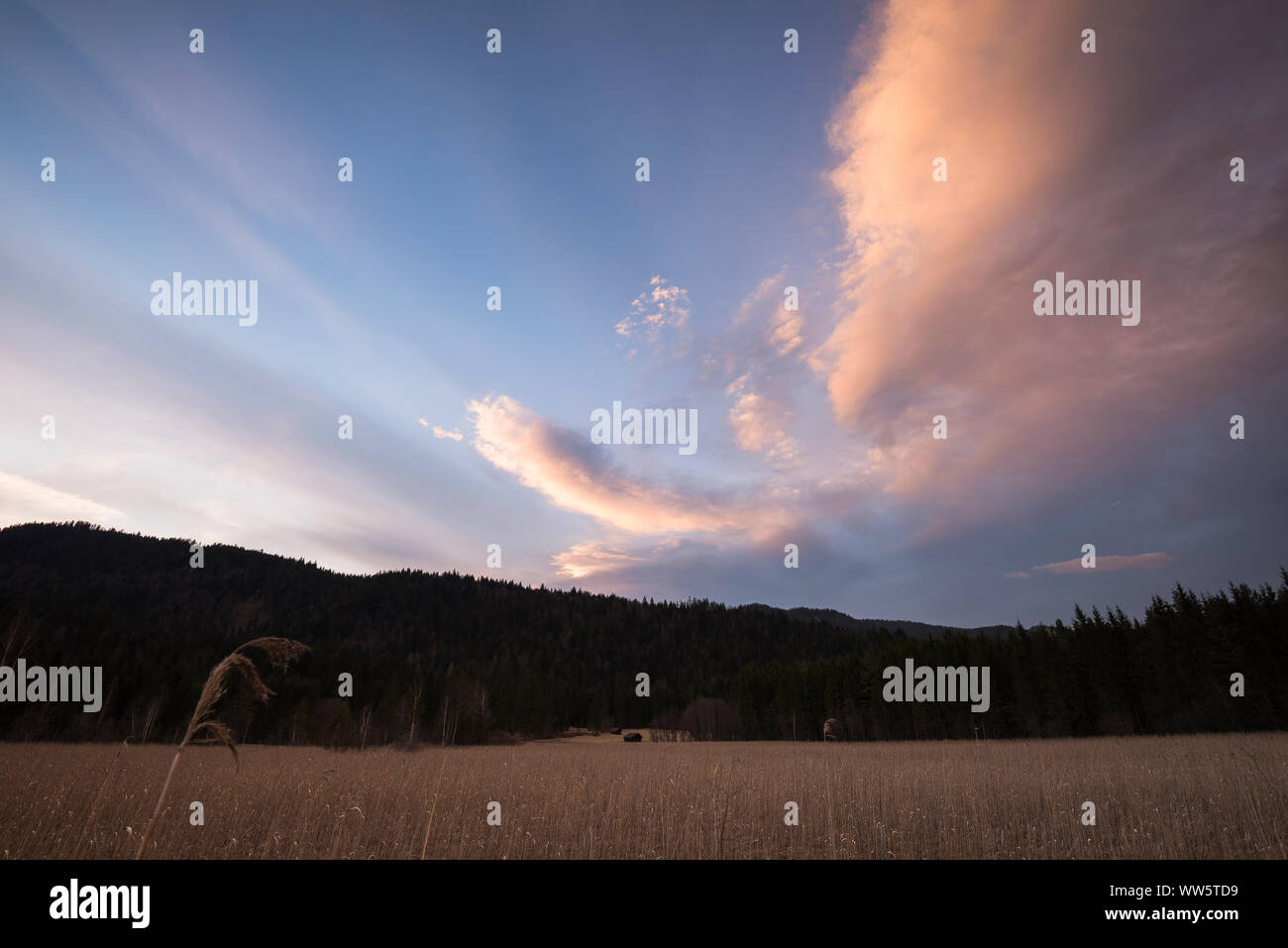 L'humeur soir nuage au-dessus du paysage de la Reed Barmsee, avec la cabane de petits agriculteurs et forestiers. Banque D'Images