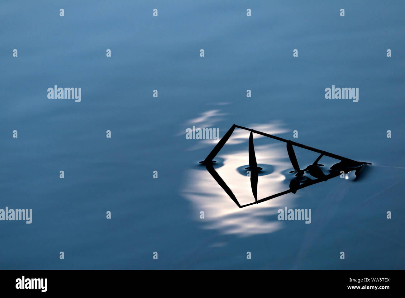 Reflet des tiges de roseau et le lever de lune dans l'eau d'un petit lac dans les Alpes bavaroises au coucher du soleil. Un contraste élevé renforce les structures. Banque D'Images
