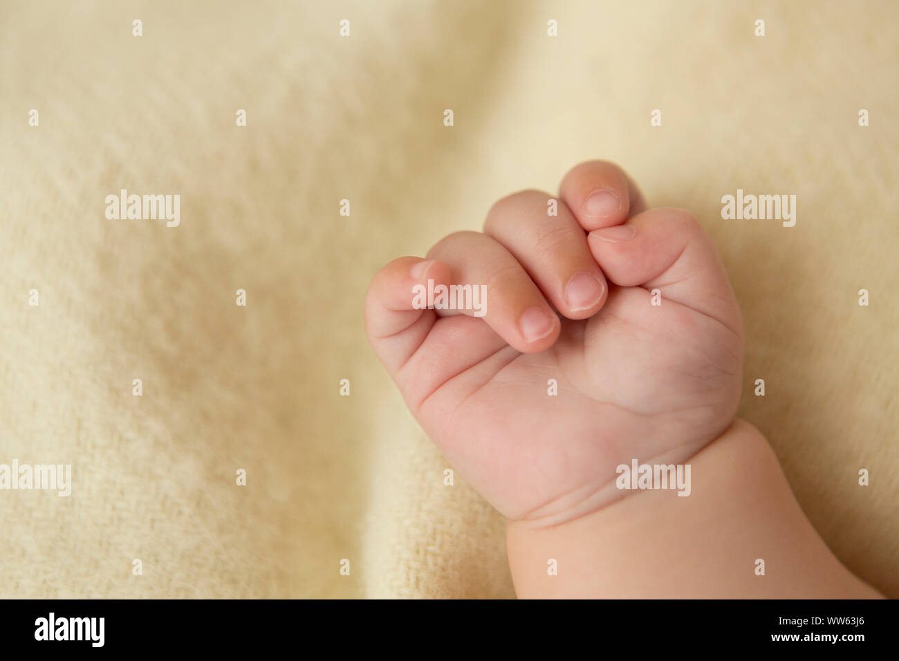 La main de bébé, détail Banque D'Images