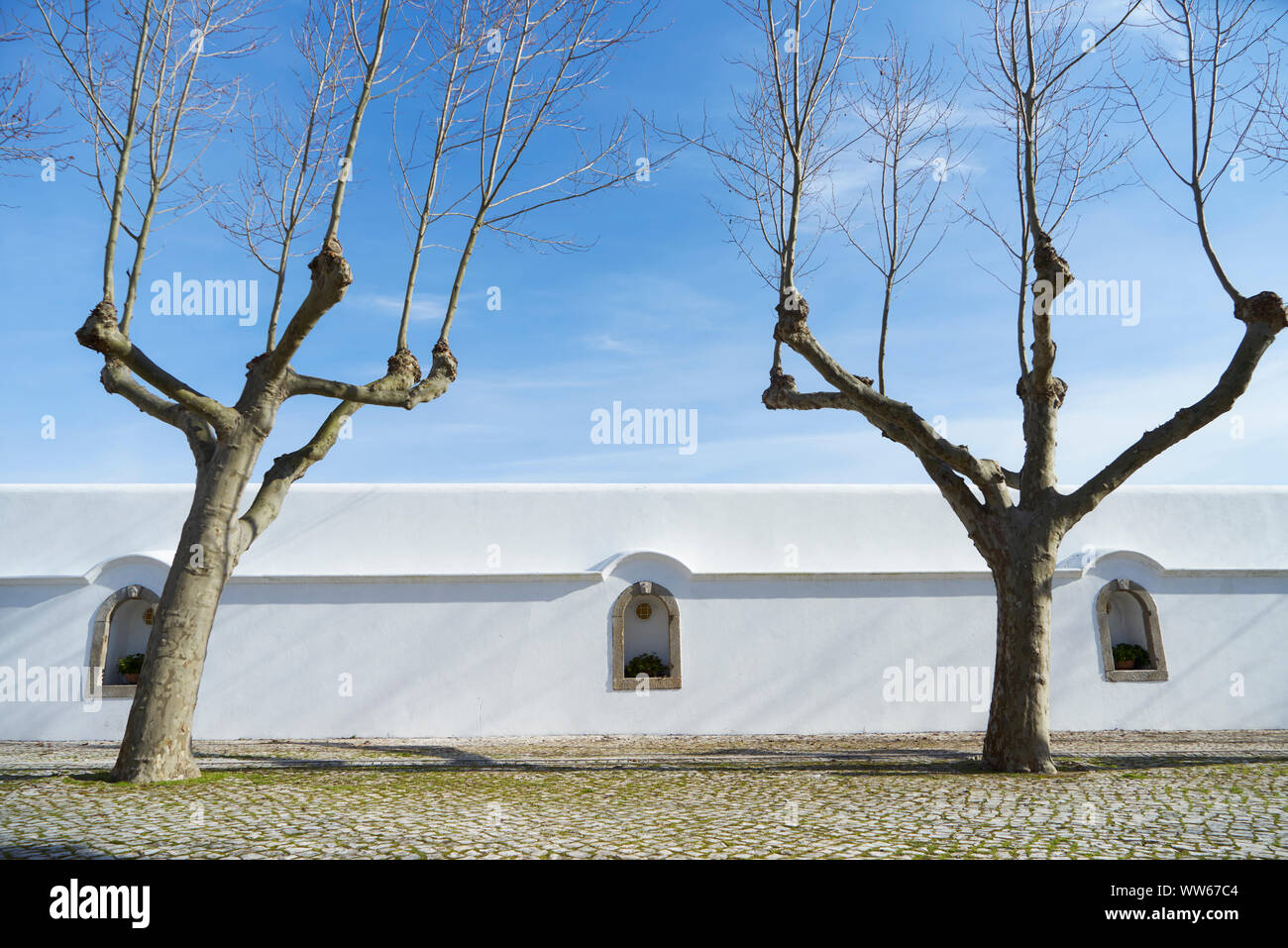 Arbres et mur blanc d'un cours à un monastère Banque D'Images