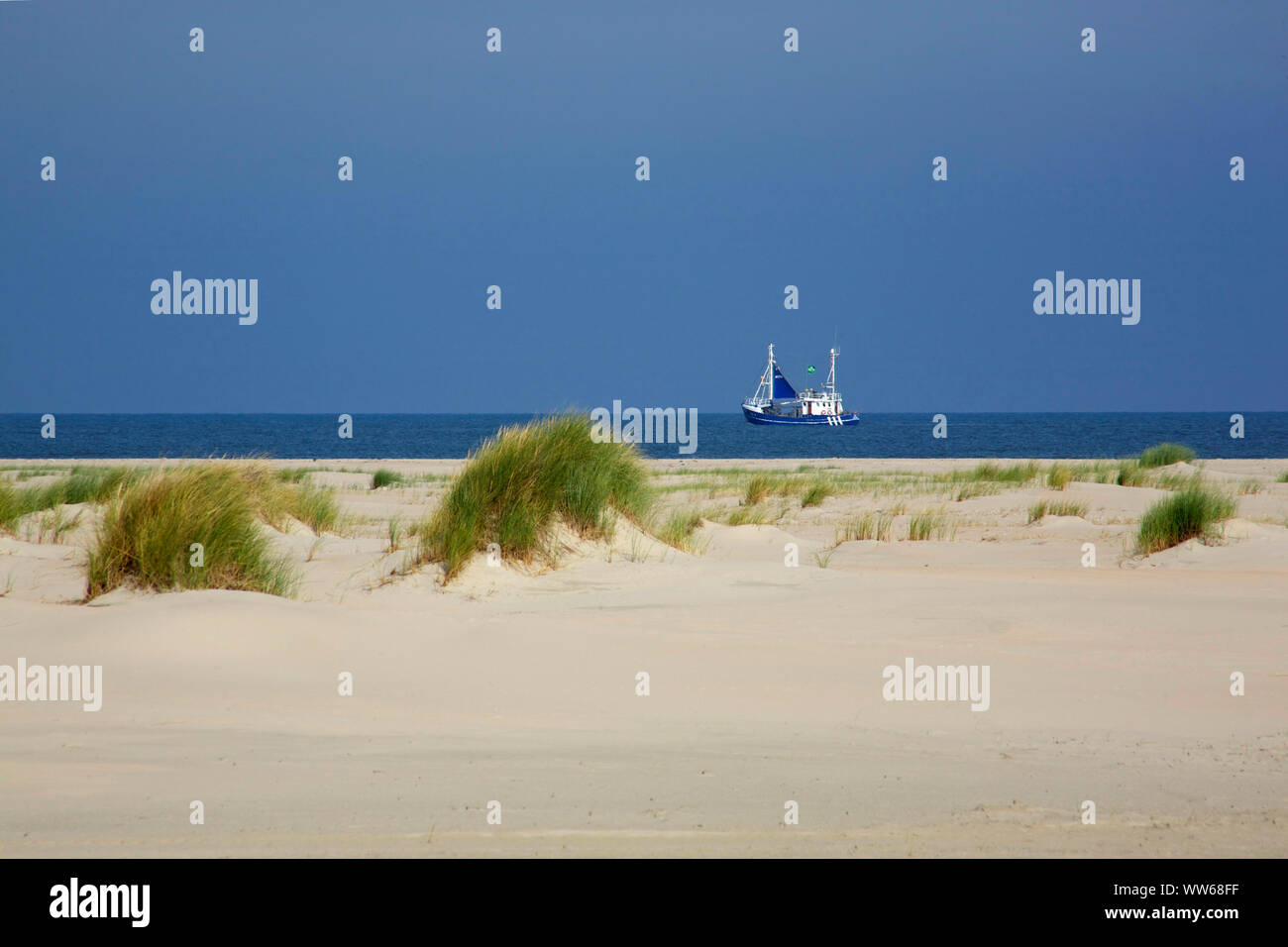 Bateau de crevettes en face de la dune sur le paysage plage du nord de l'île Norderney. Banque D'Images