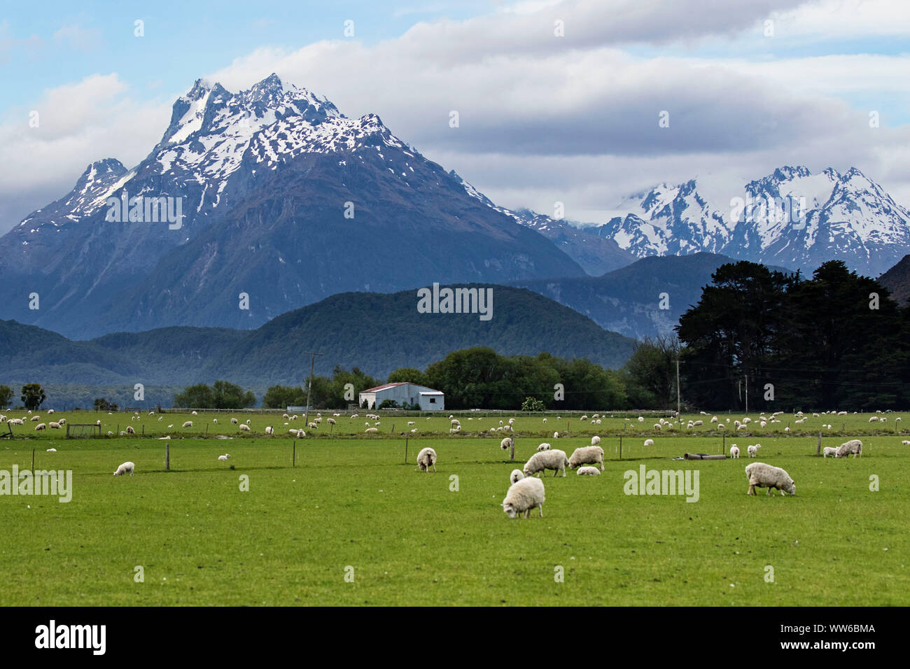 Les montagnes qui s'élèvent de la terre de Nouvelle-Zélande remplissent la terre de splendeur. Snow capped, Mount Cook, Glenarchy, Wanaka Banque D'Images