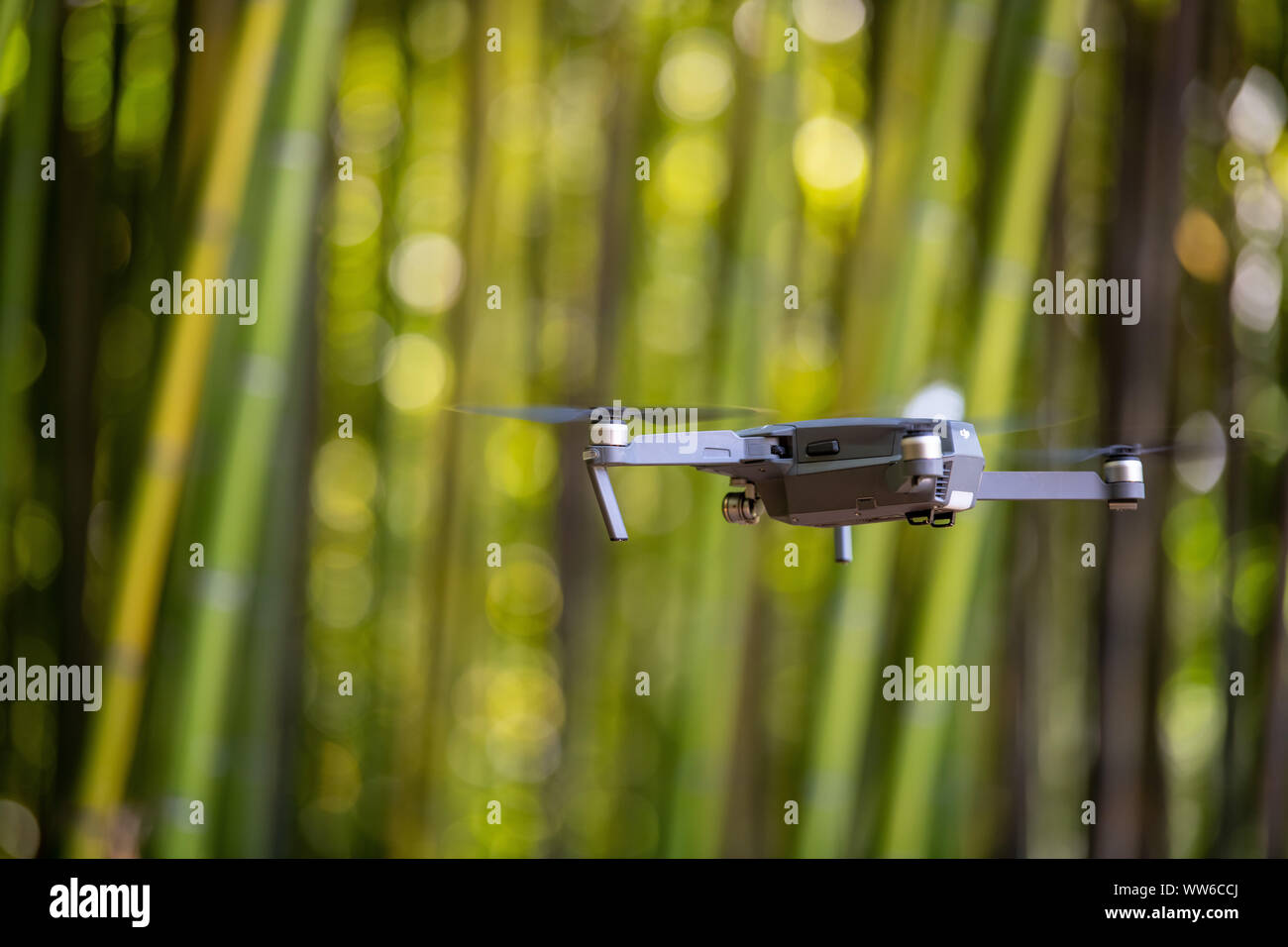 Drone dans bambouseraie, clôture bambou vert texture background, incense Banque D'Images