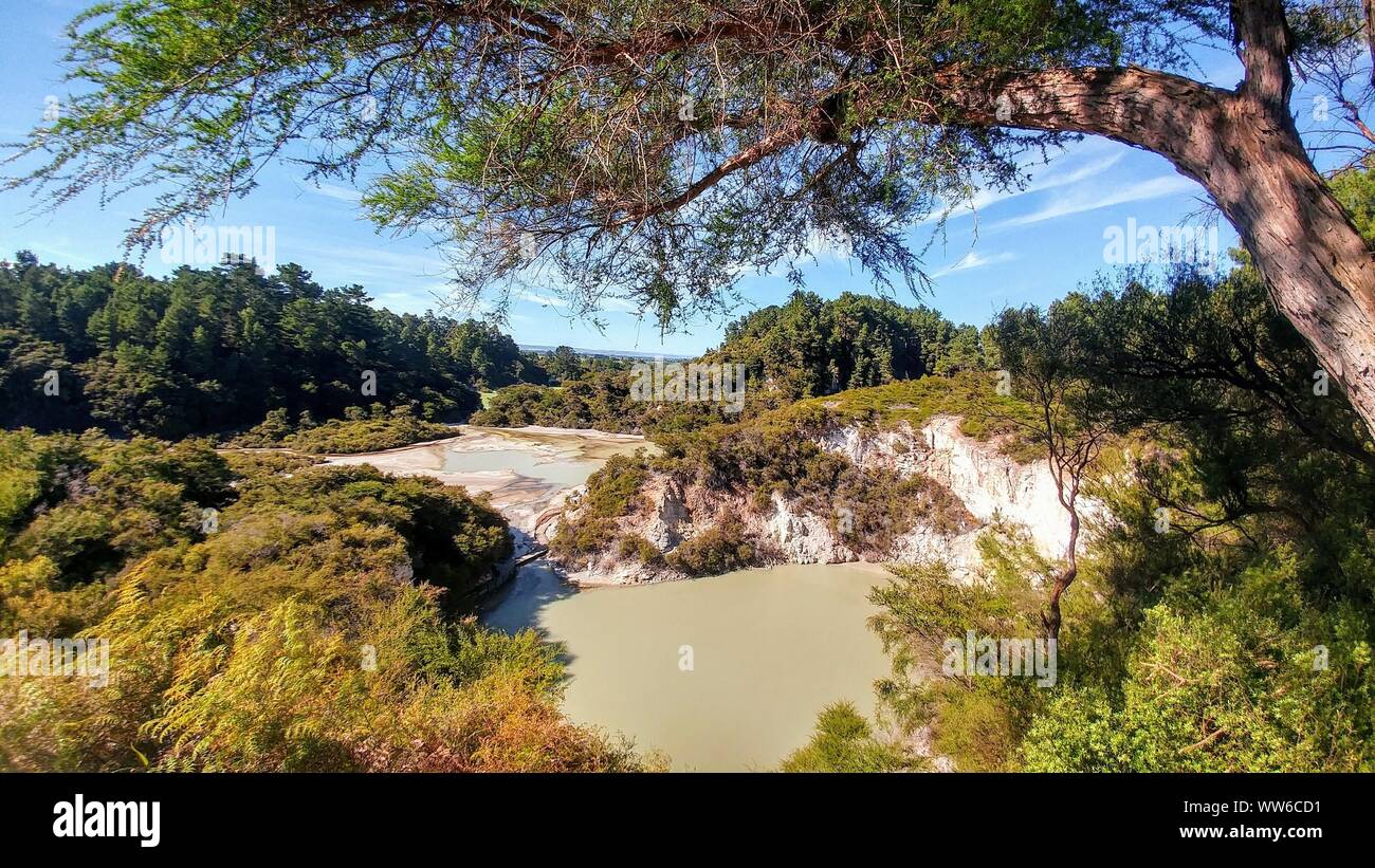 Wai-O-Tapu, Wai-O-Wonderland thermique géothermique de Taupo en Nouvelle Zélande Banque D'Images