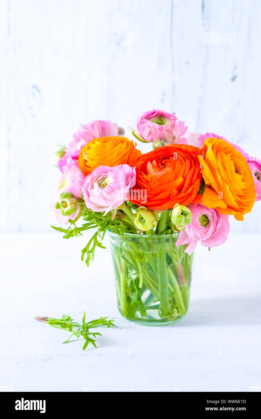 Bouquet de printemps coloré de renoncule rose et orange Banque de  photographies et d'images à haute résolution - Alamy