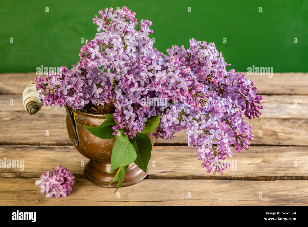 La vie toujours au printemps, le lilas, arrangement de fleurs Banque D'Images