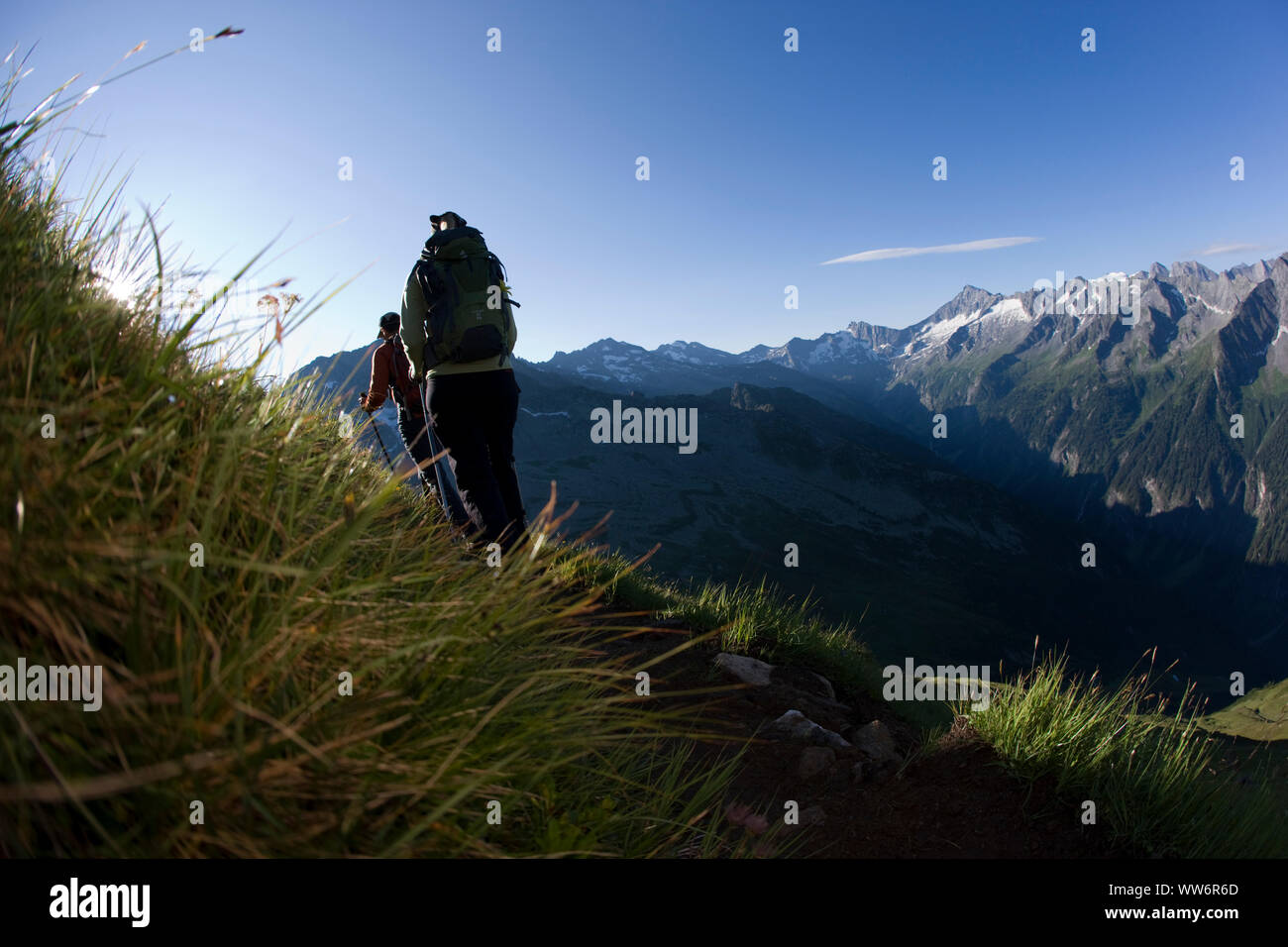 Randonneur sur l'Am Hügel 7¶henweg, Hôtel Alpes de Zillertal, Tyrol, Autriche Banque D'Images