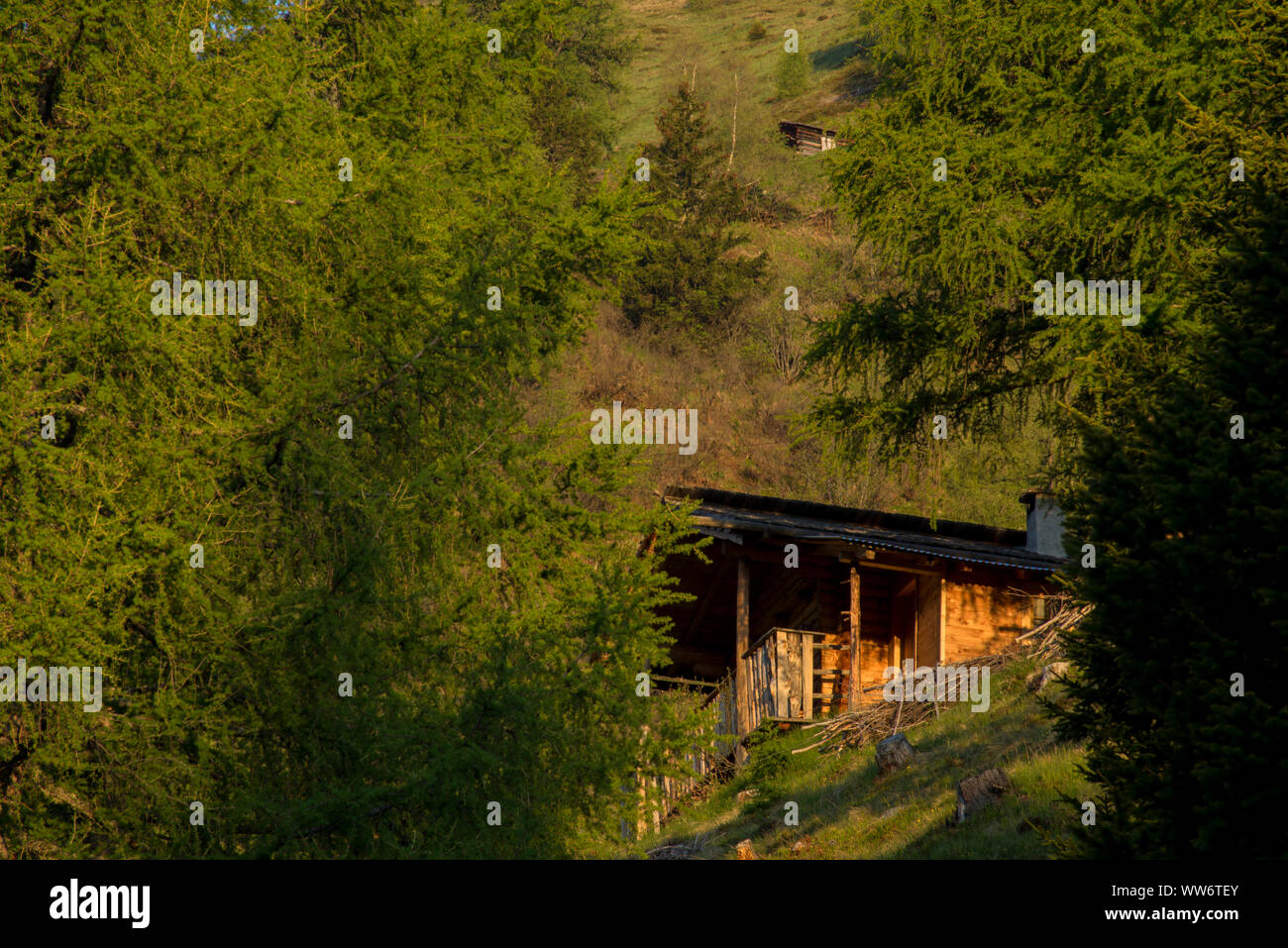 L'humeur du matin à l'LasÃ¶rlinggruppe Raineralm,, Parc National du Hohe Tauern, le Tyrol, en Autriche. Banque D'Images