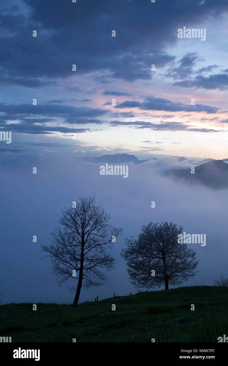 Soirée de printemps au-dessus Saukogel SÃ¶KitzbÃ¼heler ll, Alpes, Tyrol, Autriche Banque D'Images