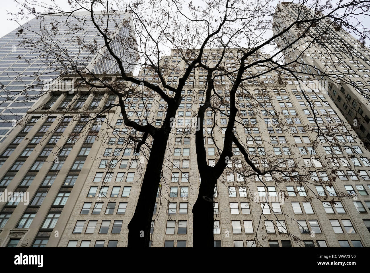 Les arbres en face de la Metropolitan Life Insurance Company Tower, connue comme la Tour de la métropolitaine (à droite), et de la vie métropolitaine bâtiment Nord, connu sous le nom de onze Madison (à gauche). Quartier Flatiron, Madison Square Park, à Manhattan, New York City, New York, États-Unis d'Amérique Banque D'Images