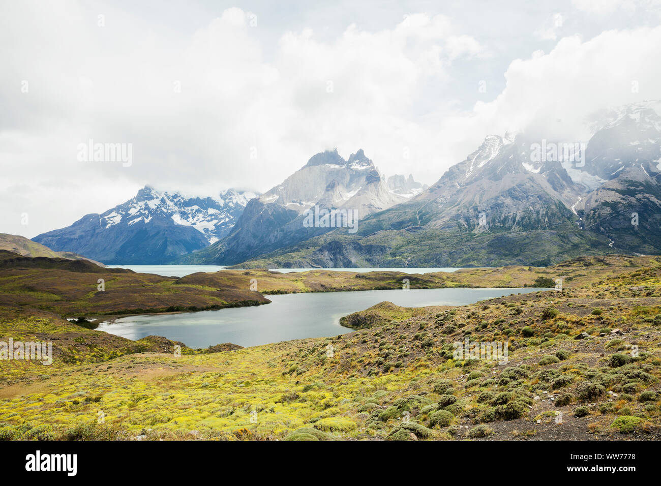 Le Chili, la Patagonie, le Parc National Torres del Paine Banque D'Images