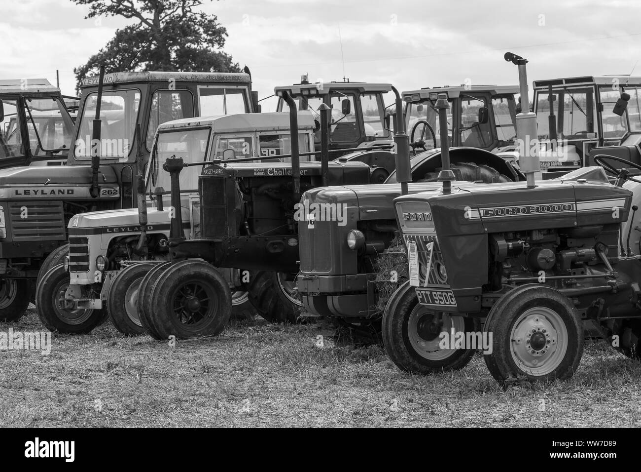 Haselbury Plucknett.Somerset.Royaume-Uni.18 août 2019.Une rangée de vintage est affichée à un événement d'agriculture d'hier Banque D'Images