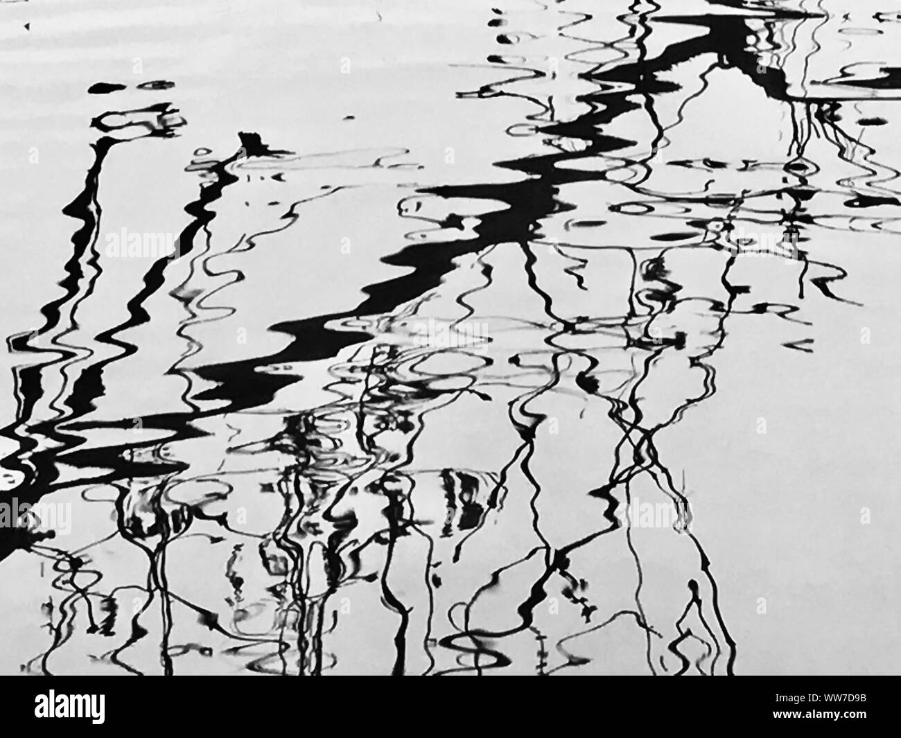La mise en miroir de l'eau, d'arbres, branches Banque D'Images