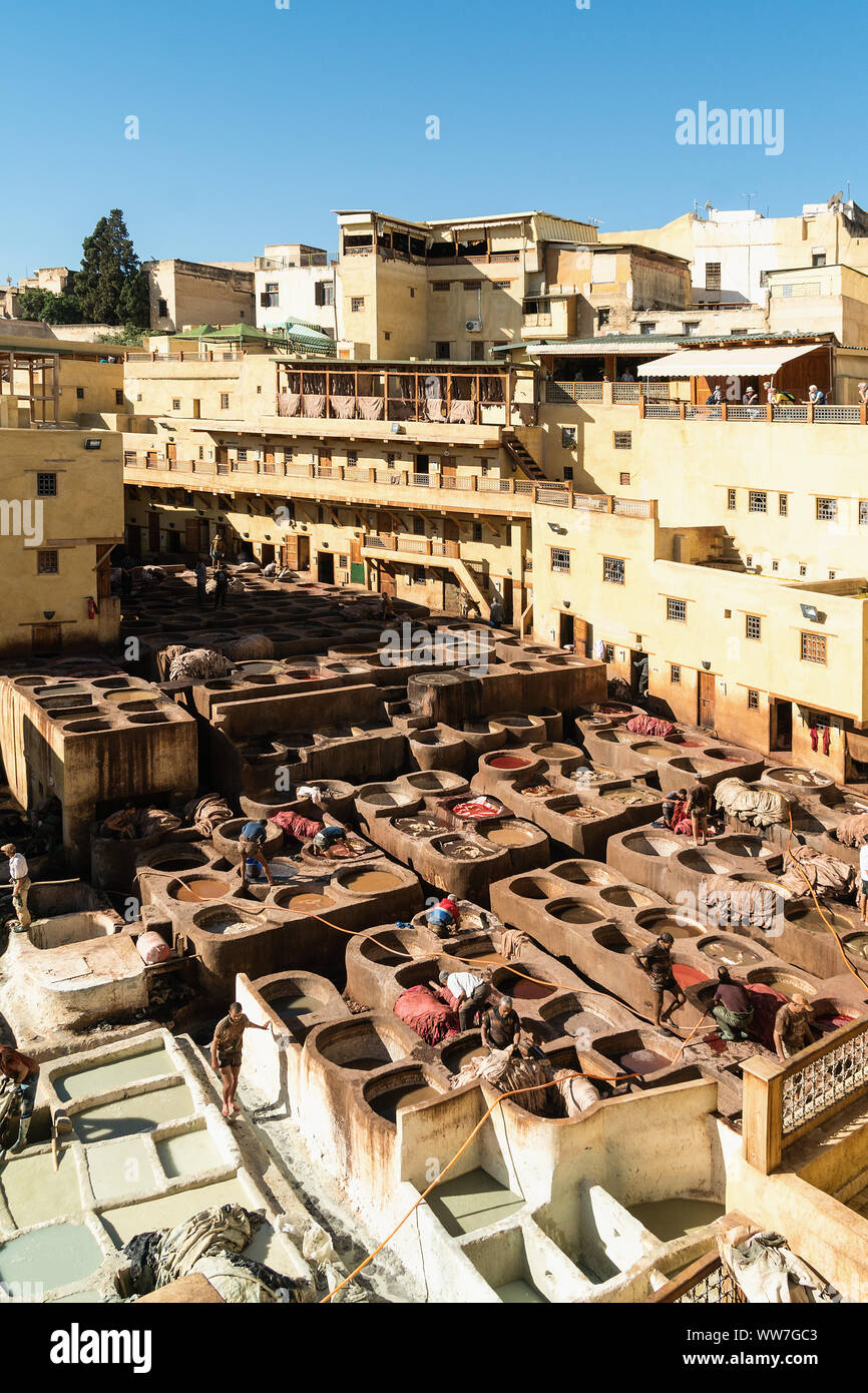 Maroc, Fès, Médina, Souk, Blida, quartier des tanneurs, cuves de couleur avec des couleurs naturelles Banque D'Images