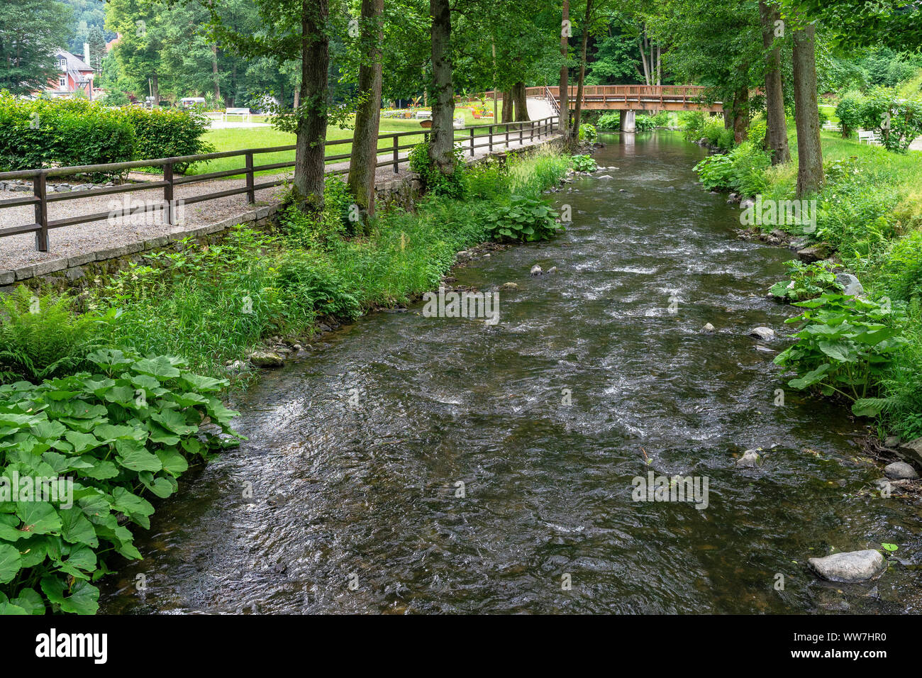 Allemagne, Bavière, Fichtelgebirge, Bad Berneck, ruisseau dans le parc thermal de Bad Berneck Banque D'Images