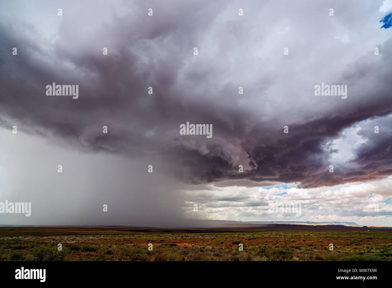 Des nuages d'orage spectaculaires traversent le désert tandis qu'un orage de mousson déverse une forte pluie près de Chinle, en Arizona Banque D'Images