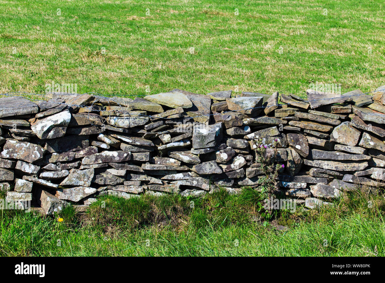 Des murs secs, les pâturages traditionnels dans l'enceinte de l'Irlande, l'Europe, Banque D'Images