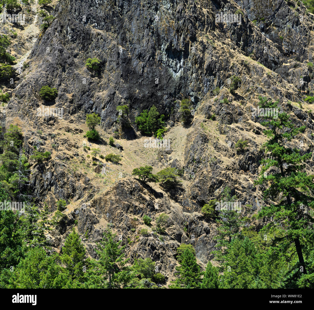 La ligne de falaises Rogue River Canyon, à la Rogue River Ranch, un site historique restauré dans la forêt nationale de Rogue River-Siskiyou, près de Galice Oregon Banque D'Images