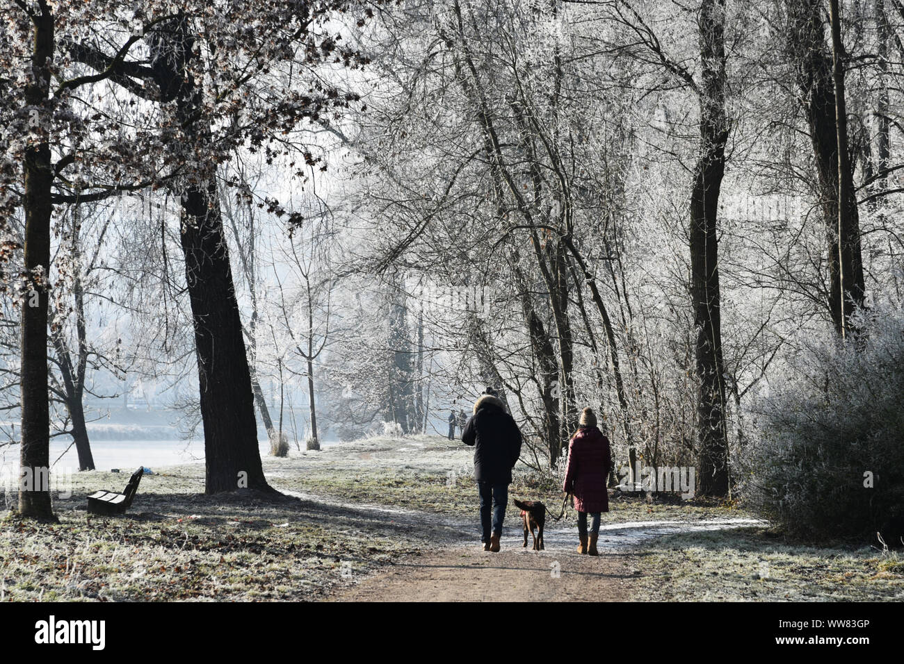Homme, Femme, chien, nature Banque D'Images