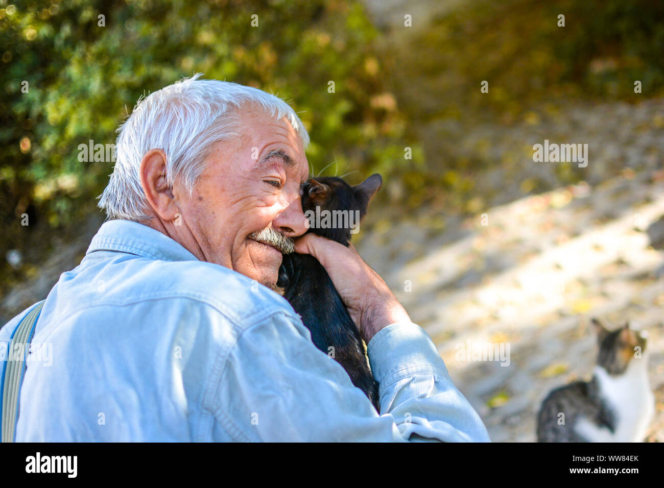 Homme croate qui fait don de son temps et de ressources pour prendre soin des chats errants de Split Croatie détient un chaton noir jusqu'à son visage dans un refuge Banque D'Images