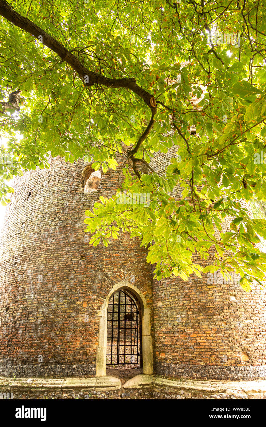 Cow Tower est une tour d'artillerie médiévale située à un coude de la rivière Wensum et aux côtés de la promenade. Cette image est de la porte. Banque D'Images