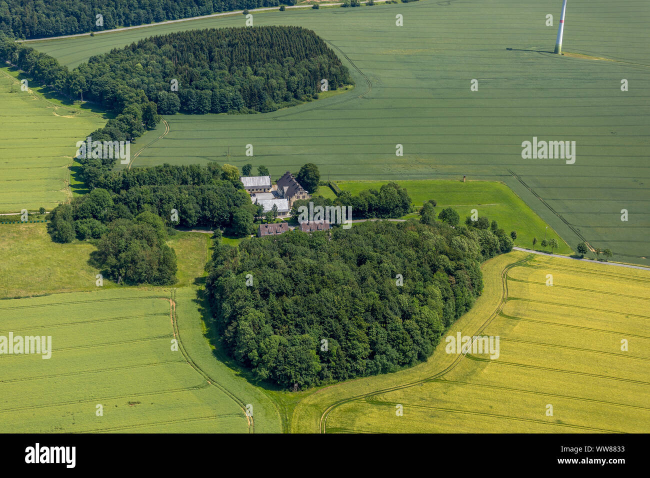 Gut, Radlinghausen Almerfeld, Brilon, Rhénanie-Palatinat, Hesse, Allemagne Banque D'Images