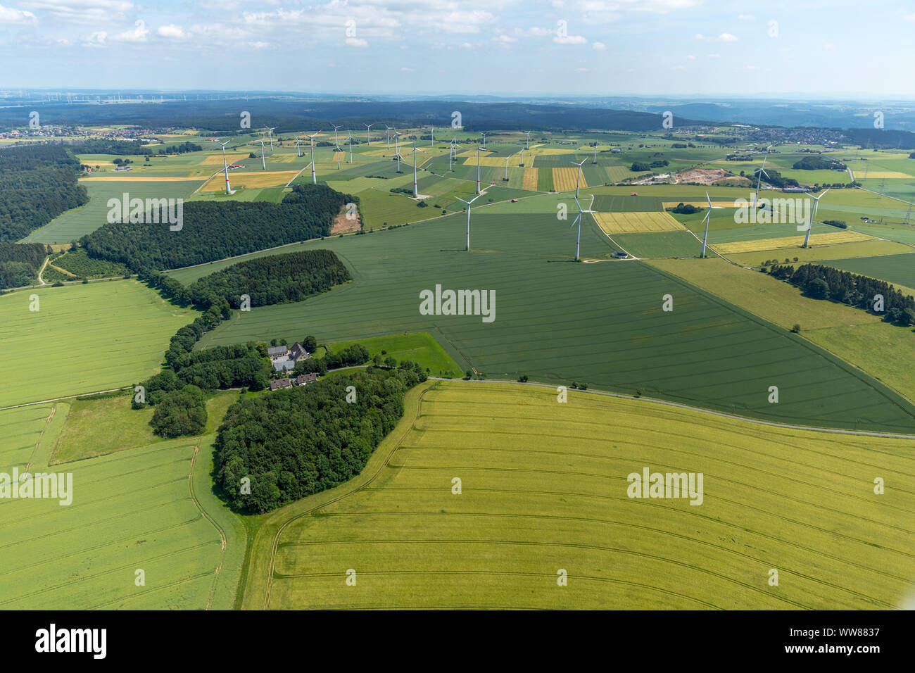 Gut, Radlinghausen Almerfeld, Brilon, Rhénanie-Palatinat, Hesse, Allemagne Banque D'Images