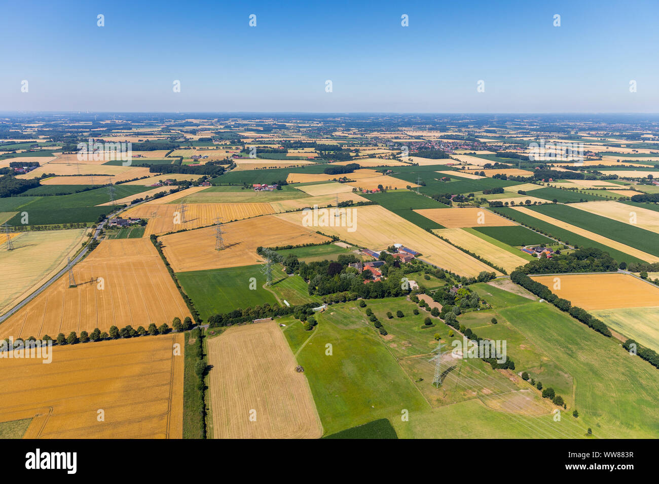 TÃ¼Chen¶Haus, JÃ rn Alexander Schulze-Henne, élevage des chevaux, Ester, Ahlen, Ruhr, Rhénanie du Nord-Westphalie, Allemagne Banque D'Images