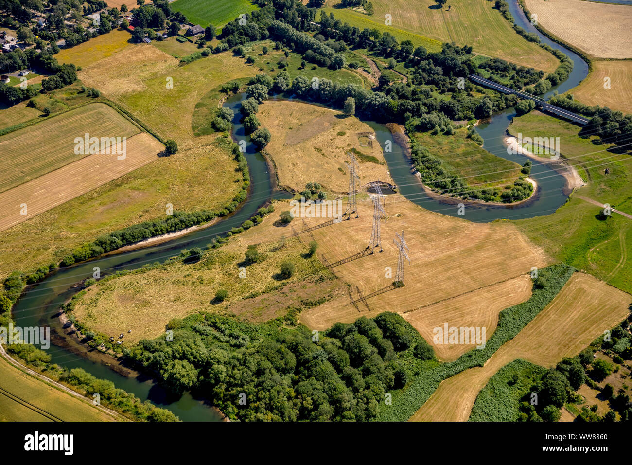 Lippe meadows entre Dolberg et Hamm-Uentrop, rivière Lippe, réserve naturelle, Haaren, Ahlen, Ruhr, Rhénanie du Nord-Westphalie, Allemagne Banque D'Images