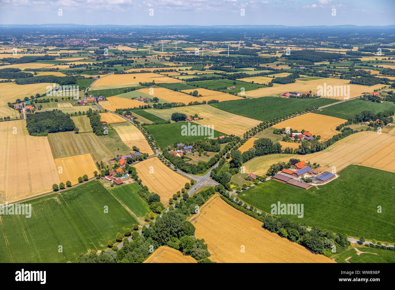 Vue aérienne, vue d'Buddenbaum Stauvermann¶ckmann, Lévis, Schlingenbusch MÃ¼nsterland, Warendorf,, Rhénanie du Nord-Westphalie, Allemagne, Europe Banque D'Images