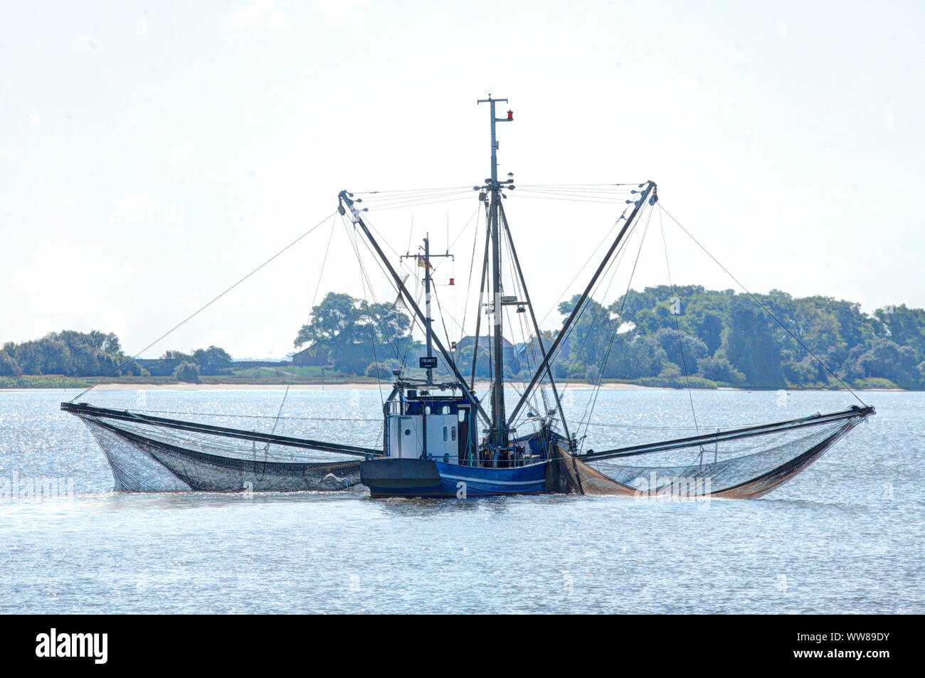 Bateau de crevettes sur la rivière Weser, frein, district Wesermarsch, Basse-Saxe, Allemagne, Europe Banque D'Images