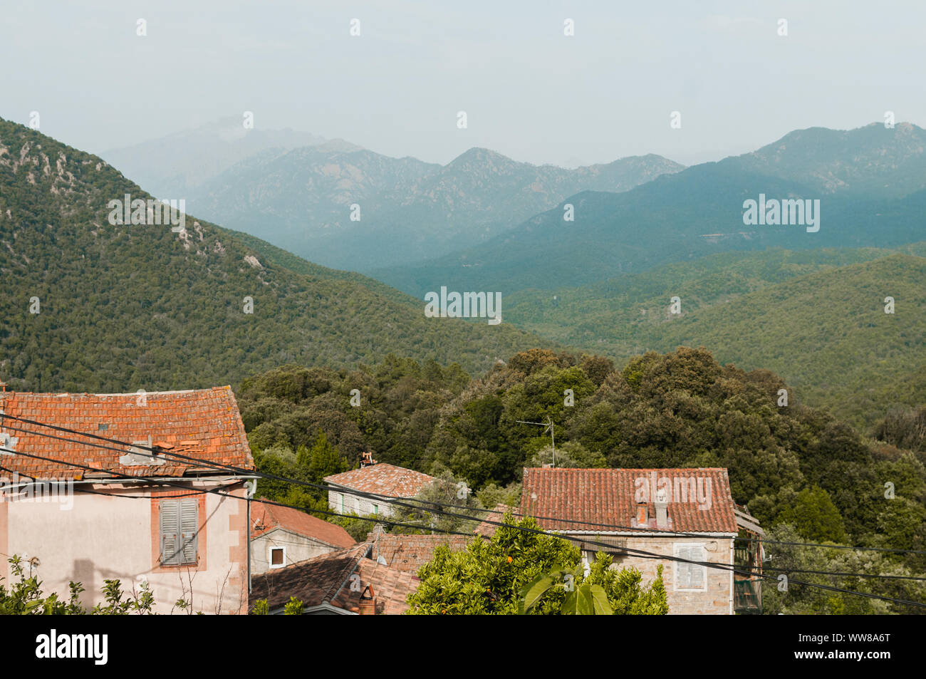 Lopigna, petit village situé dans les montagnes corses, avec des maisons typiques Banque D'Images