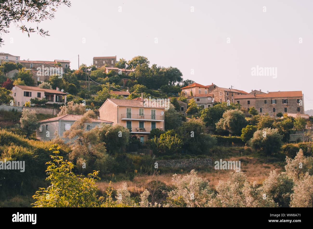 Lopigna, petit village situé dans les montagnes corses, avec des maisons typiques Banque D'Images