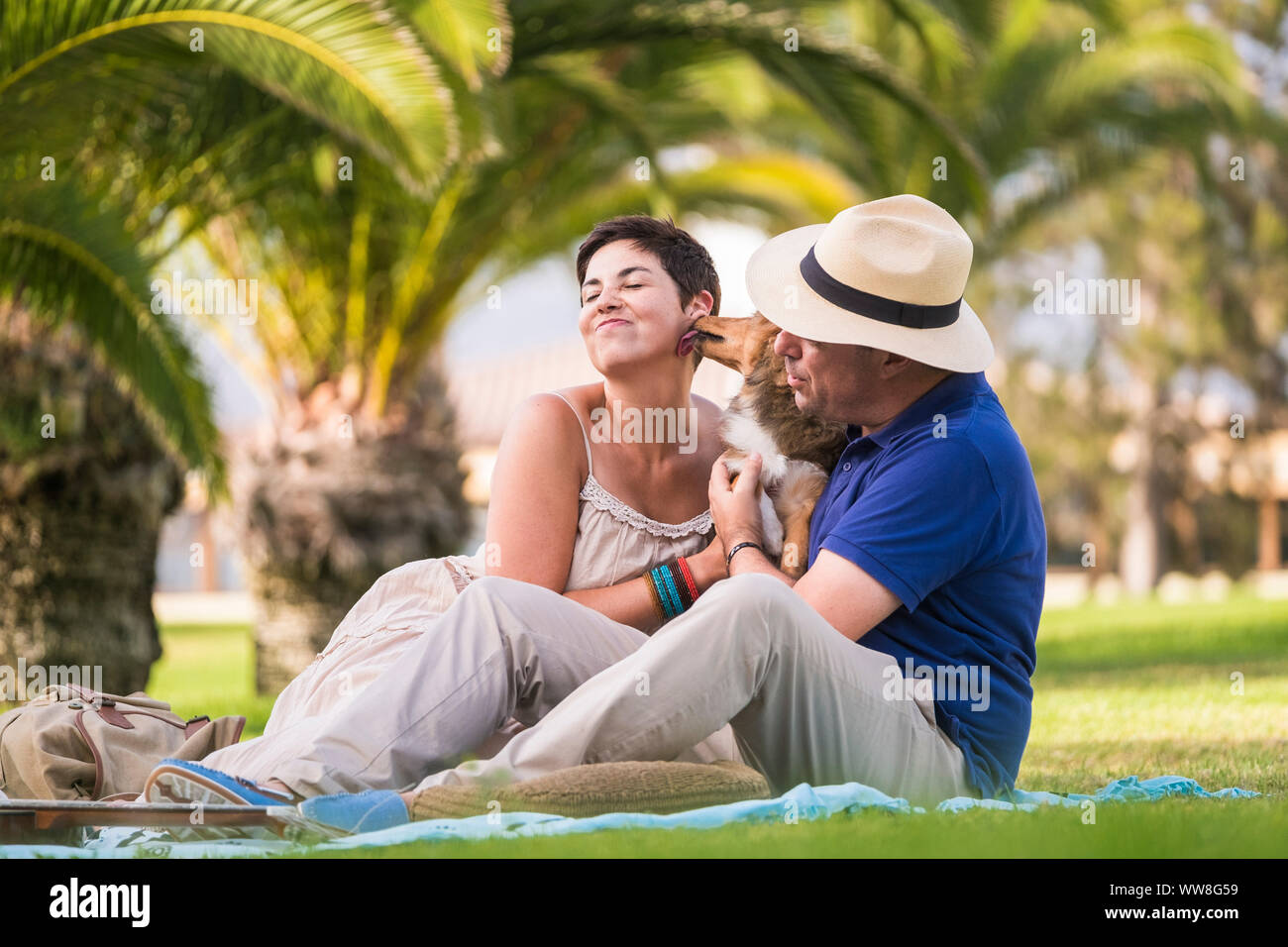 Cheerful couple bénéficiant d'une activité de loisirs assis sur l'herbe verte en ville et jouer avec les jeunes chiens fous baisers shetland beaucoup, l'amour et de famille de remplacement et l'amitié Banque D'Images