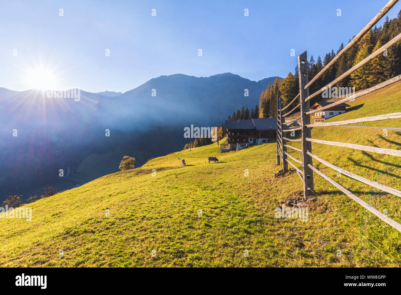 Hochberg, ferme de montagne, Innervilgratental, vallée de Villgraten, East Tyrol, Autriche, Europe Banque D'Images