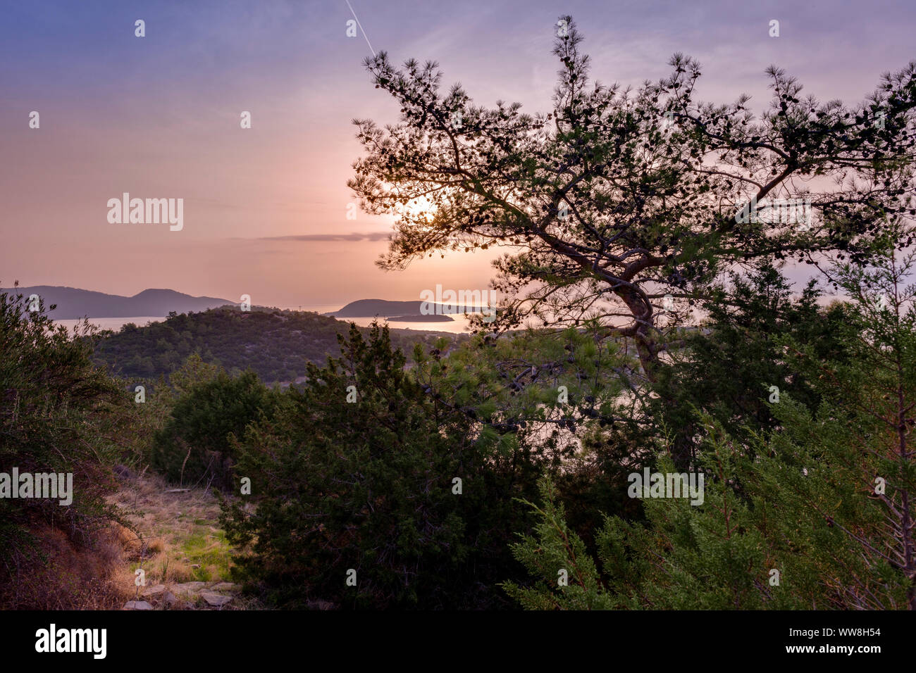Lever de soleil sur l'Riviera turque avec pine tree, d'îles et de presqu'île, à 20 km au sud de Bodrum, Turquie, Banque D'Images