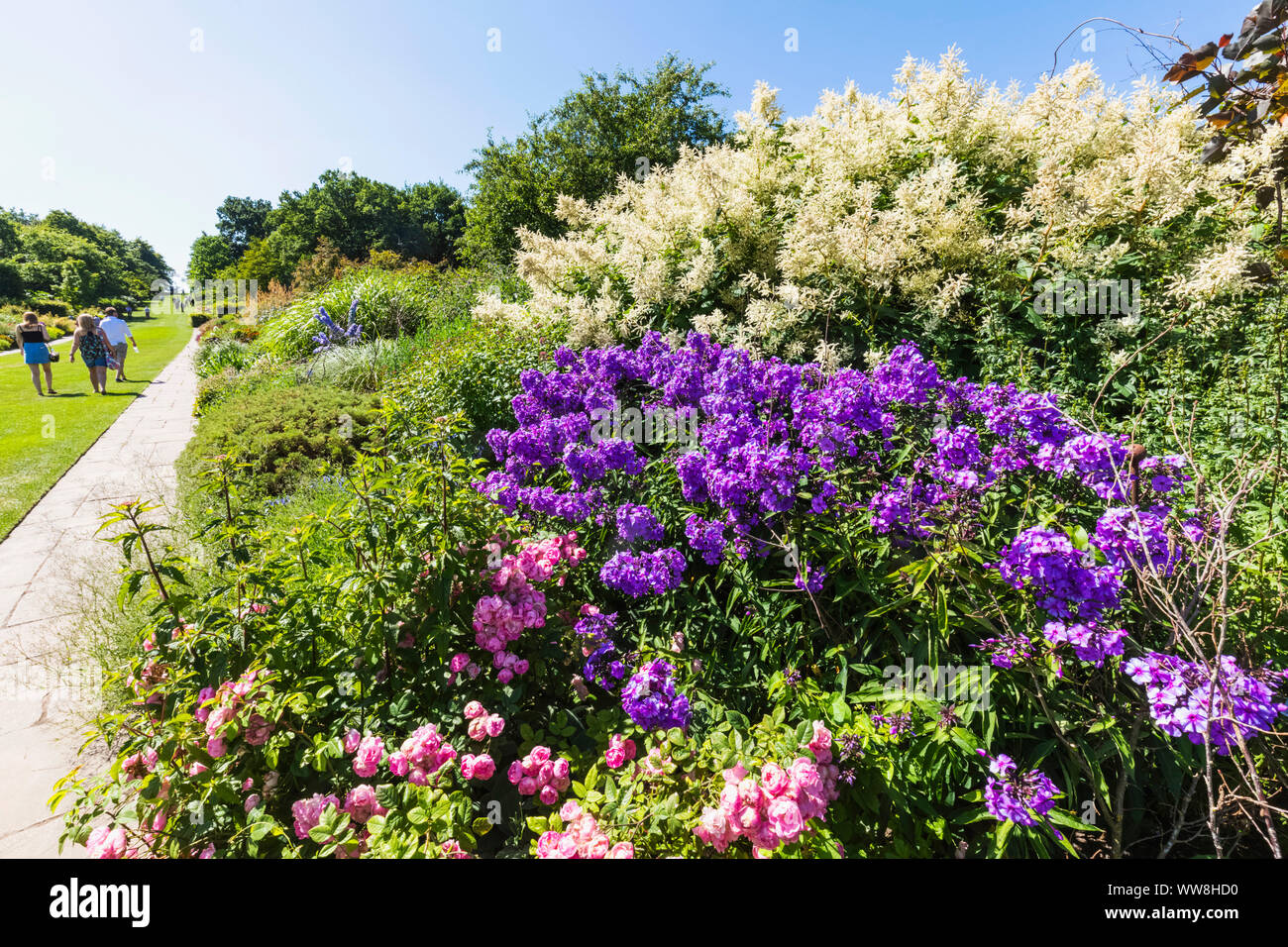 L'Angleterre, Surrey, Guildford, Wisley, la Royal Horticultural Society, le jardin en fleurs fleurs Banque D'Images