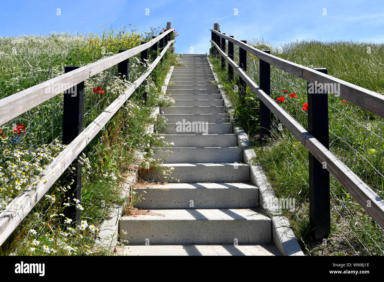 Escalier menant au sommet d'un dke on L'île de Texel (pays-Bas) Banque D'Images