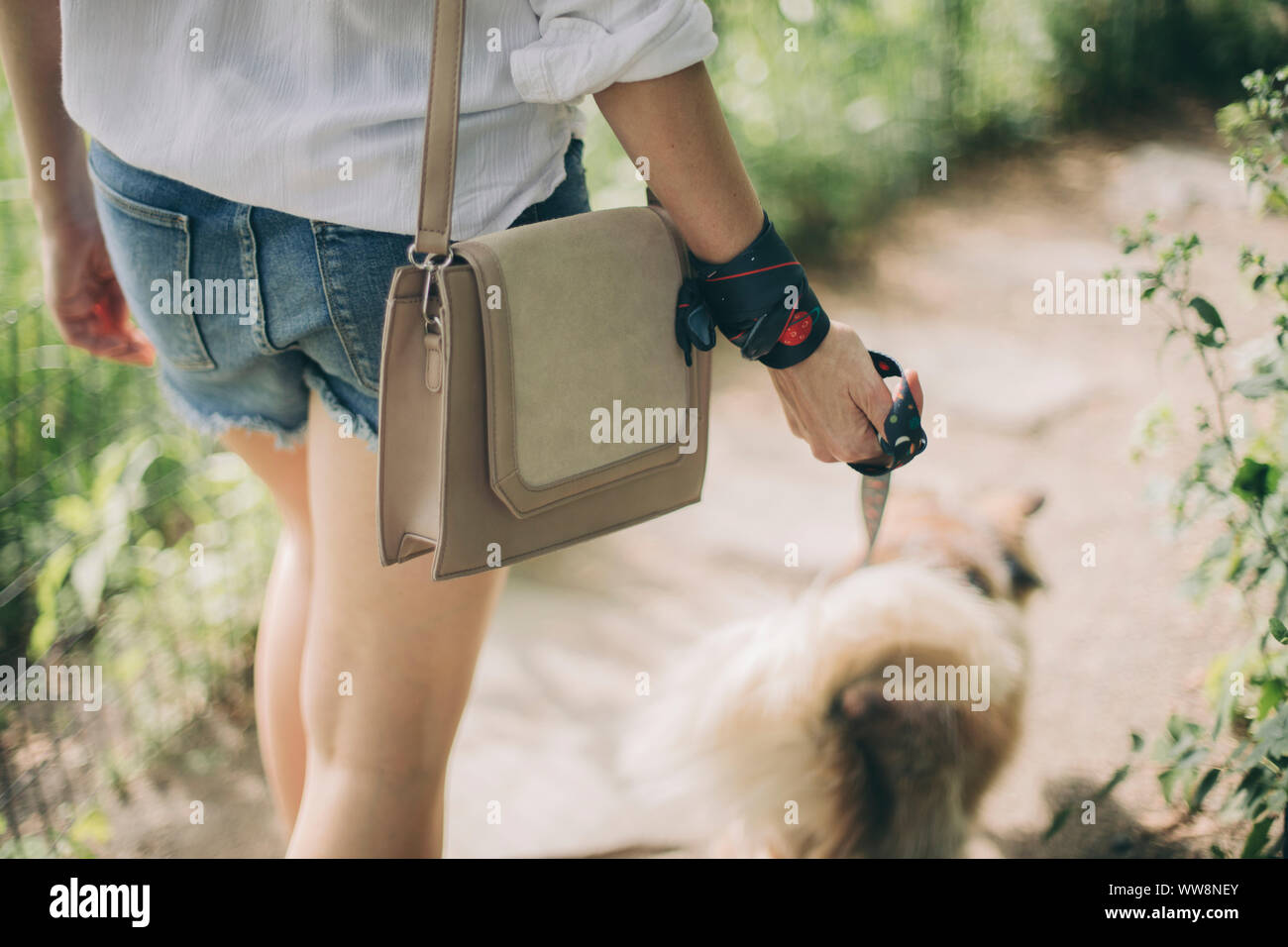 Young woman walking with her dog Banque D'Images