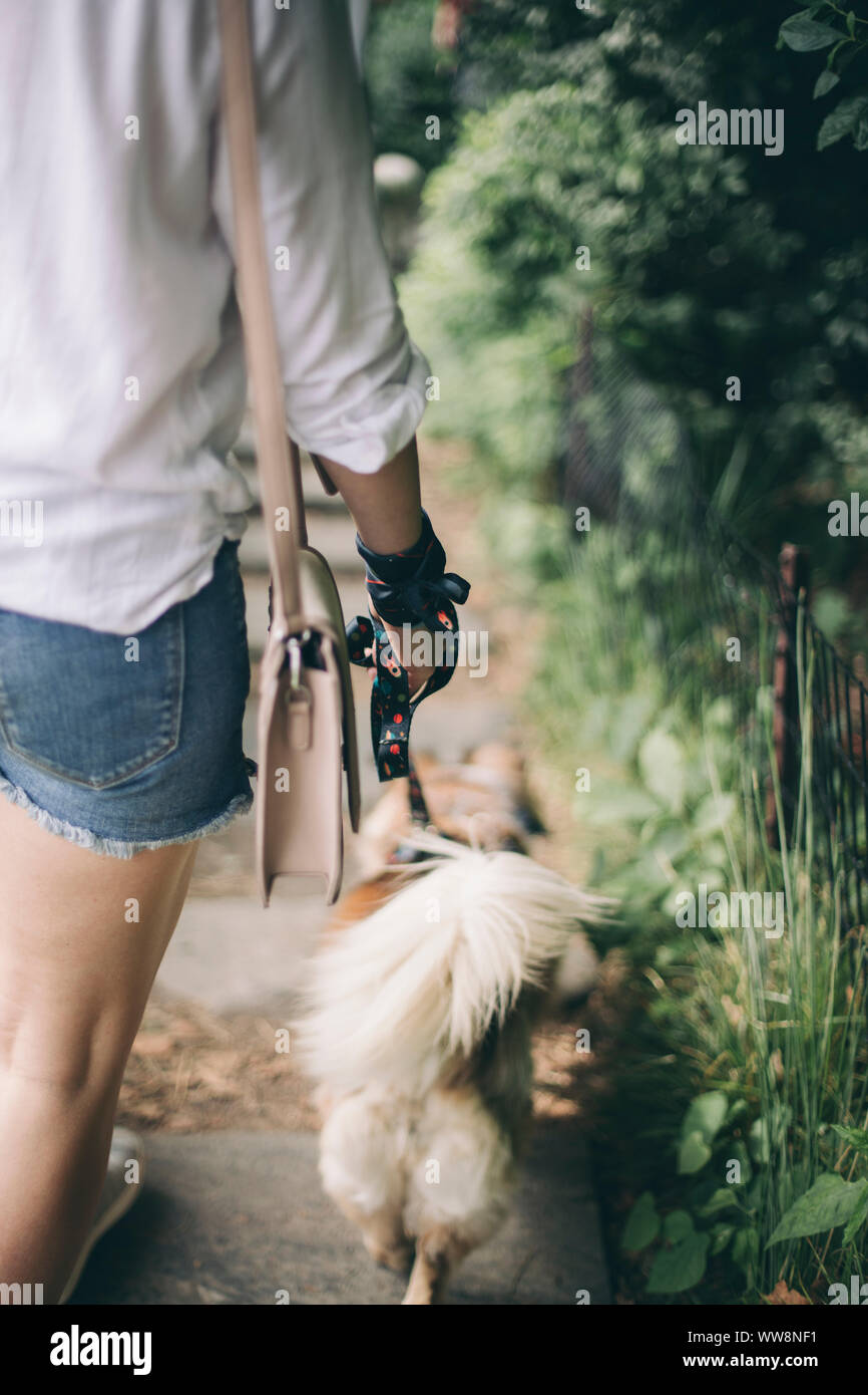 Jeune femme marchant avec son chien dans le parc Banque D'Images