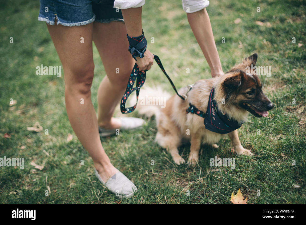 Jeune femme marchant avec son chien dans le parc Banque D'Images