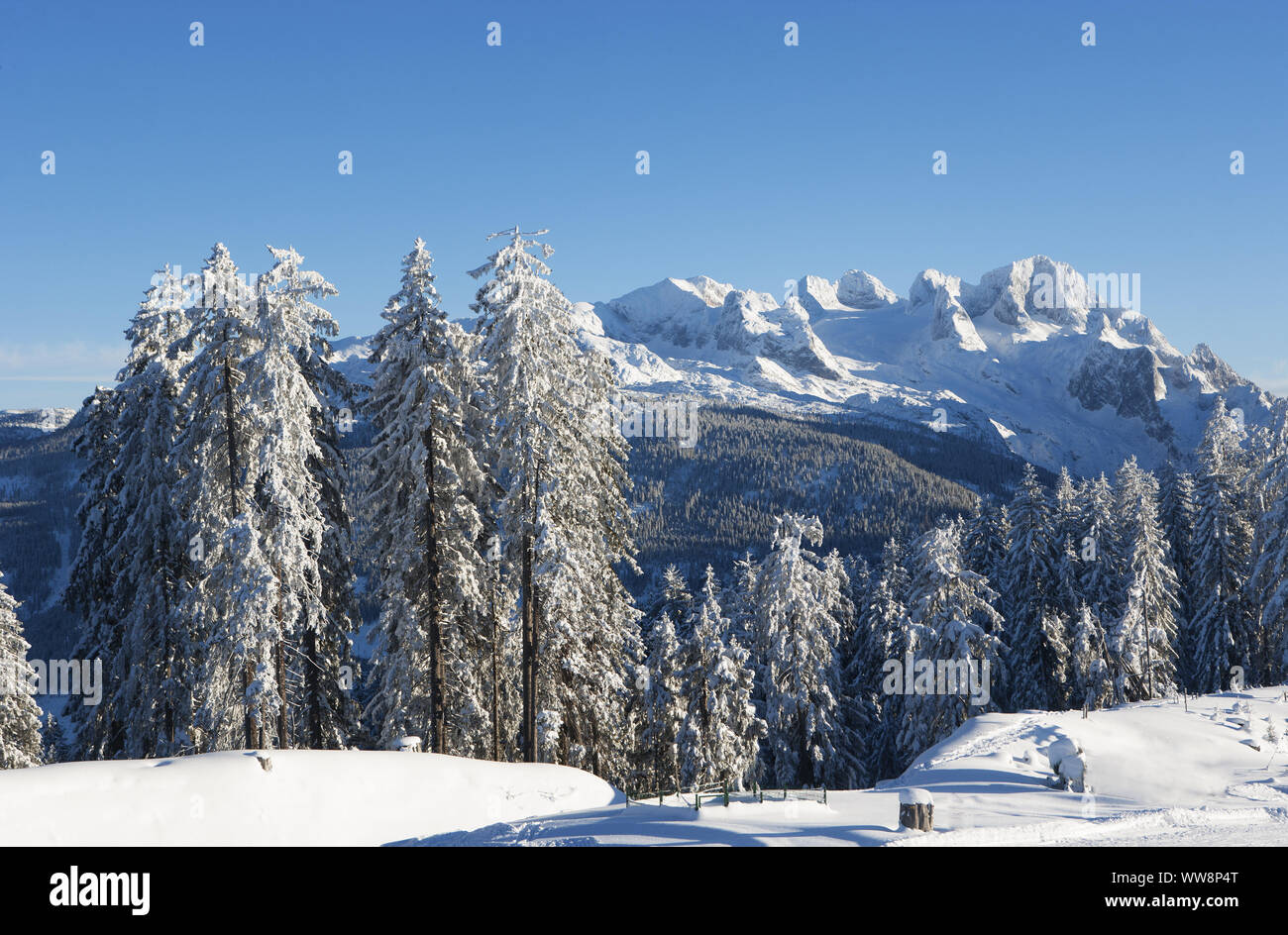 Paysage d'hiver, Gosaualm, vue sur massif du Dachstein, région du Salzkammergut, Haute Autriche, Autriche Banque D'Images